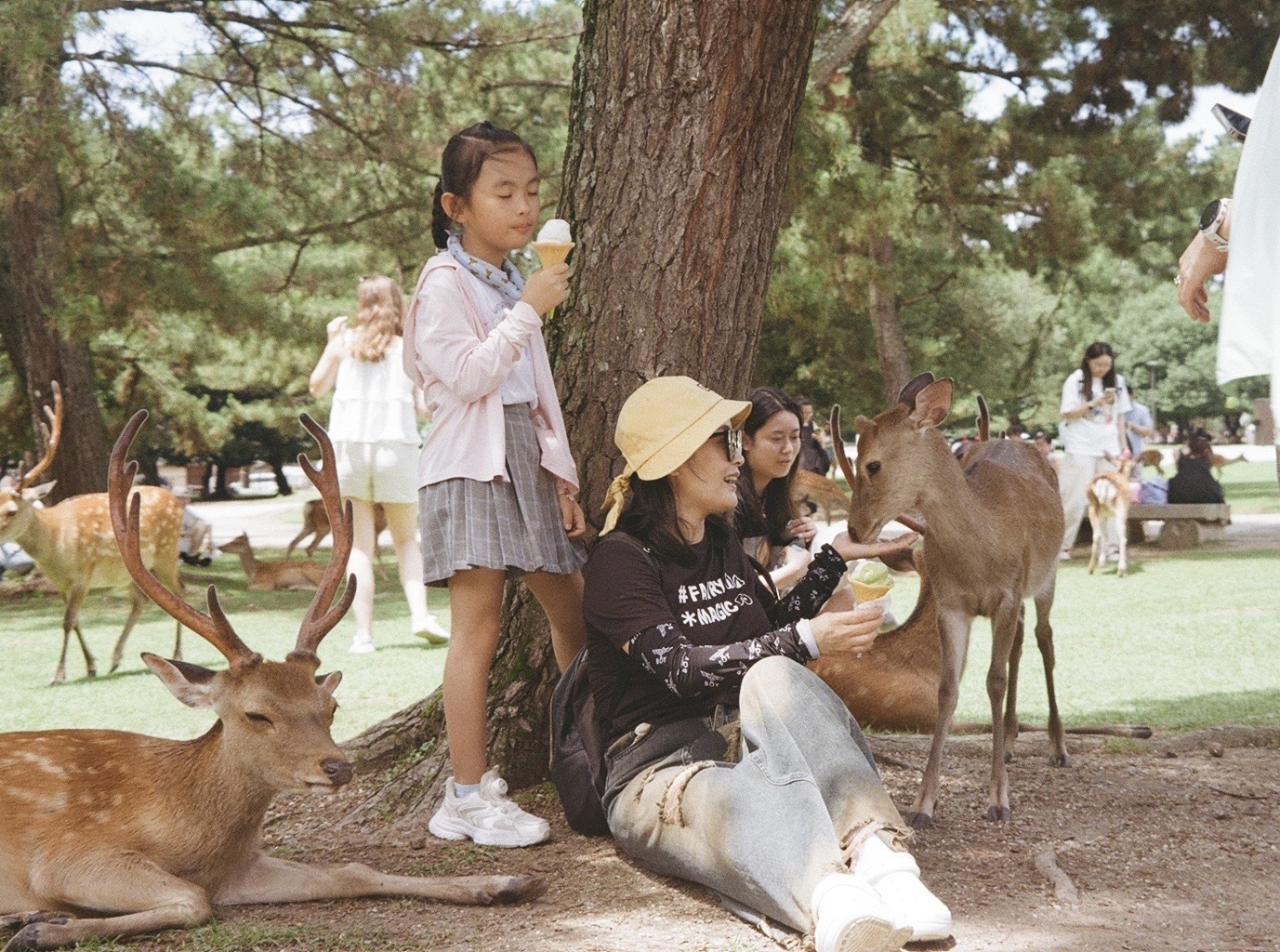 Selected photography by Natalie Tan 1